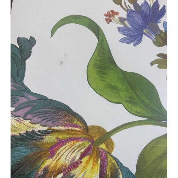 MacKenzie Childs NO. 32612 Flower Market Corked Placemat Set Of Four - Picture 3 of 10